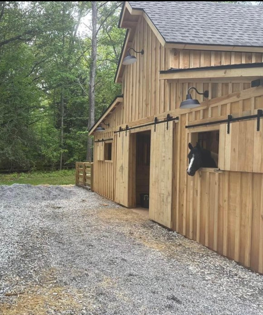 Horse looking out of a stall window in a cedar barn